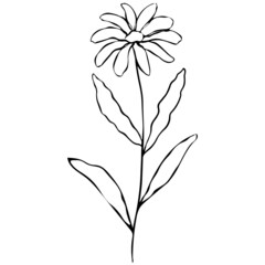 Flower vector illustration in line stroke design