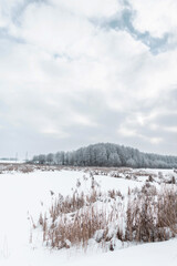 Winter landscape with forest and fields