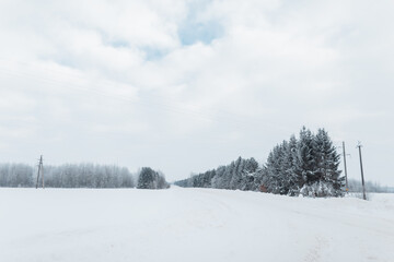 Amazing winter snowy landscape with forest and gray sky. Countryside