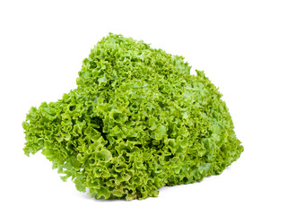lettuce on white background