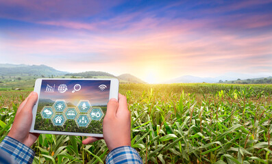 Innovation technology for smart farm system, Agriculture management, Hand holding smartphone with...