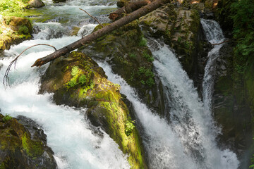 Une chute d'eau passe entre les rochers et le feuillage