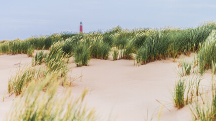 Der rote Leuchtturm auf Texel, Niederlande
