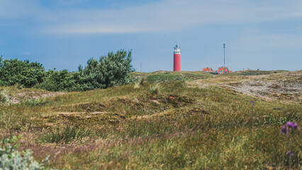 Fototapeta na wymiar Der rote Leuchtturm auf Texel, Niederlande