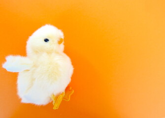 ひよことスペース