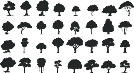 Set of silhouettes tree. Evergreen forest firs and spruces black shapes, wild nature trees templates. Vector illustration woodland trees set on white background