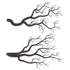 Tree branch silhouette collection