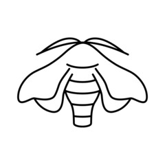 Bombyx mori, silkworm moth, butterfly icon editable stroke