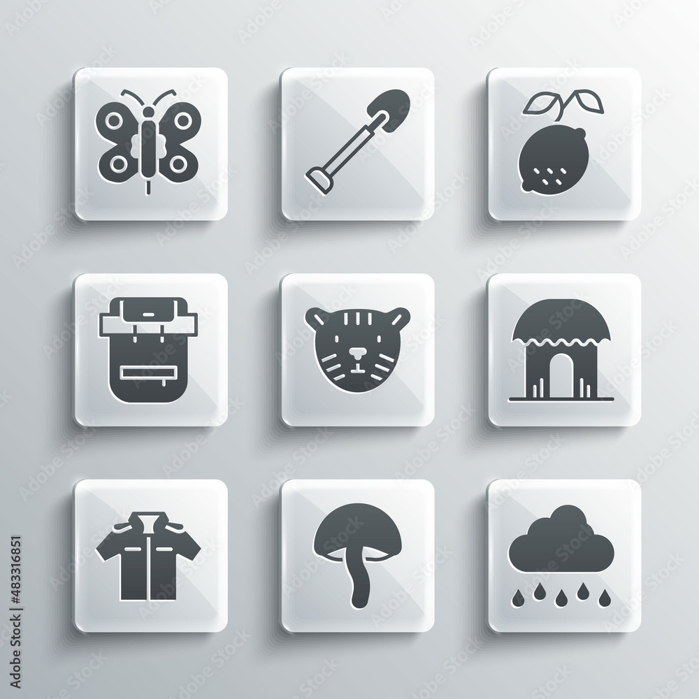 Wall mural set mushroom, cloud with rain, african hut, tiger head, shirt, hiking backpack, butterfly and lemon 