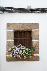 Window decorated with flowers in pots