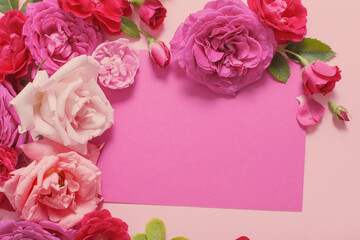 beautiful roses on pink paper background