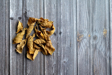 Wallpaper of autumn yellow dry leaves on the floor of wooden boards. Background for site.