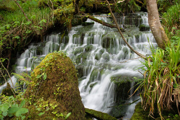 Northern Ireland Waterfall