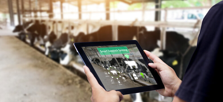 Smart Agritech Livestock Farming.Farmer Hands Using Digital Tablet With Blurred Cow As Background