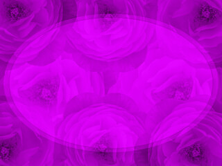 A faded oval is placed on the beautiful violet roses background, banner, template, name card, copy space