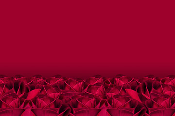 red roses flower are arranged below, on a red background, banner, template, decor, copy space