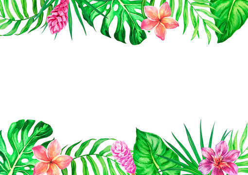 Hawaiian Flower Border Images – Browse 9,317 Stock Photos, Vectors, and  Video | Adobe Stock