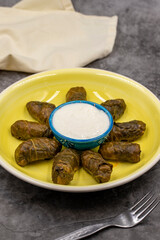 Meat leaf wrapping. Traditional Mediterranean flavor. Wrapped leaves with yogurt on a dark background. local name etli yaprak sarma