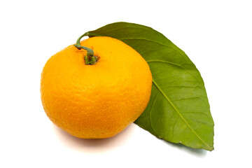 Tangerine isolated on white background. close up