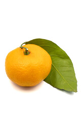 Tangerine isolated on white background. close up