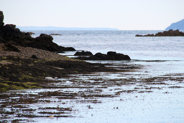 crozon estuary and atlantic ocean in brittany (france)