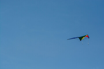kite in the sky