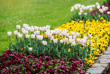 spring garden with nice flowers
