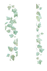 Ivy branches watercolor frame isolated on white background