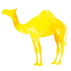 camel watercolor silhouette,on white background,vector,isolated