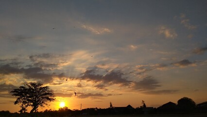 Just a day on the morning.