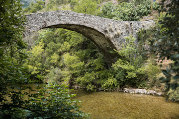 Fototapeta na wymiar old stone bridge in the forest