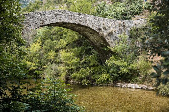 old stone bridge in the forest