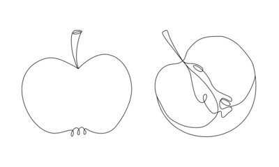 Apple silhouette in line art style. Whole and cut apple half in outline. Minimalist vector continuous line drawn fruit