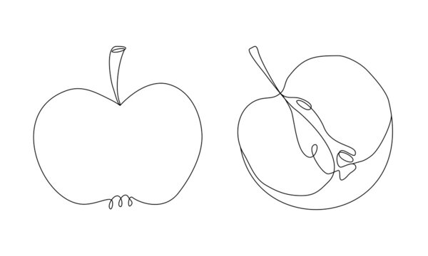 Apple silhouette in line art style. Whole and cut apple half in outline. Minimalist vector continuous line drawn fruit