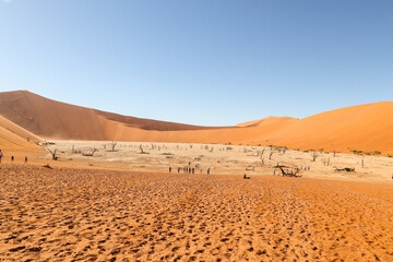 Deadvlei, Sossusvlei, Namibia