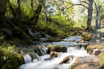 Obraz premium waterfall in the forest