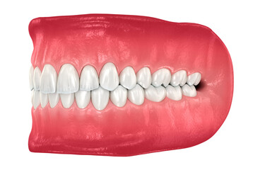 Healthy human teeth with normal occlusion. Medically accurate tooth 3D illustration - 483342249