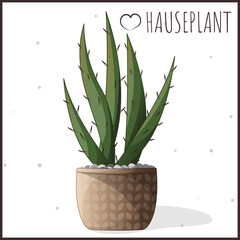 Houseplant in a pot. Cactus in a pot. Houseplant, home garden, gardening, plant lover, houseplant store concept, greenhouse.