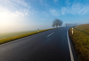 Curved street with wet asphalt surface on a misty winter morning near Tübingen Germany. Country road with limited and blurred visibility caused by fog after rain. Trees and reflector post on roadsides