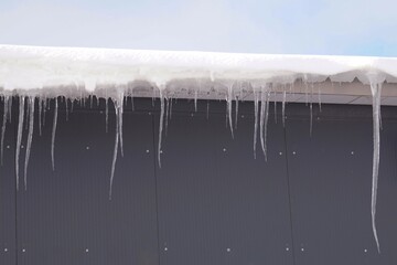 Icicles on the roof. Grey background. Thaw. Sun warms up.