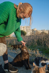Woman feeding street cats outdoors.