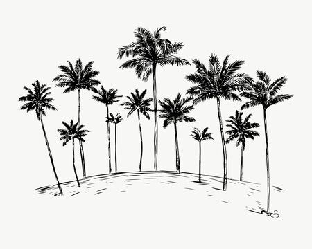 Hand drawn sketch illustration with palm grove. Perfect for banner, poster, logo