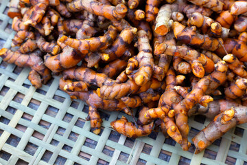 Turmeric roots on wooden spoon on white background.