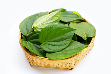 Green betel leaves, Fresh piper betle on white background