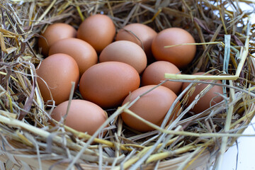 Fresh organic eggs in a straw nest