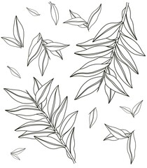 Colouring with stylised plant elements 
