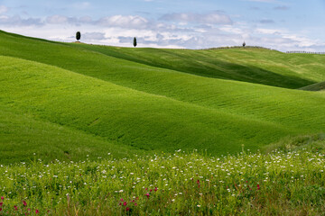 Fototapeta na wymiar View of the scenic Tuscan countryside
