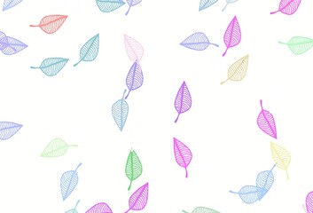 Light Multicolor, Rainbow vector doodle template.