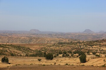 Fototapeta premium Nature is the world around us, not created by man. That which is primary, which appeared long before man. The natural habitat of man. Forests, mountains, seas, oceans, flora, fauna, and man himself.