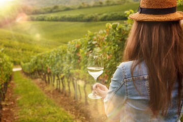 Woman holding glass of wine in vinery plantation outdoor.
